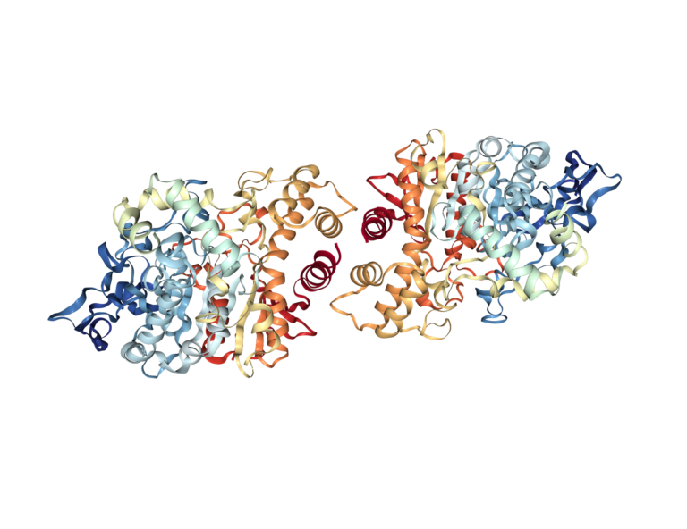 Human Acetylcholinesterase Bioserendipity