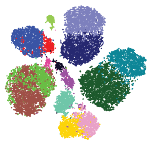 Phenograph_clustering_example