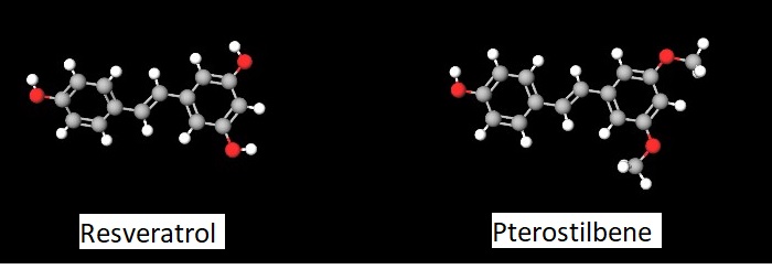 resveratrol_pterostilbene