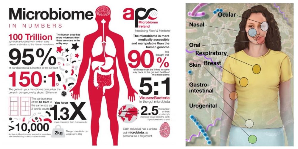 human_microbiota_microbiome