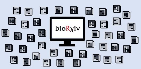 BioRxiv Preprint Server | BioSerendipity