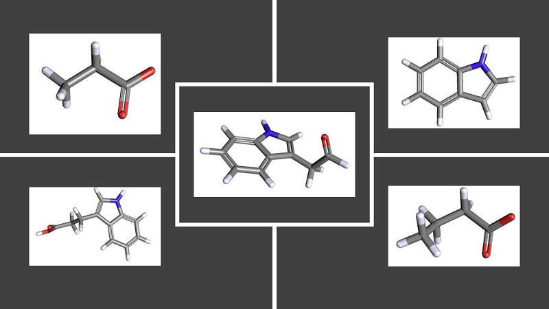 bioactive_microbial_metabolites