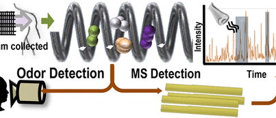 Detecting chemicals that give Parkinson's disease a smell