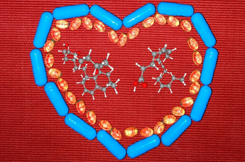 statin_fish_oil_heart_shape