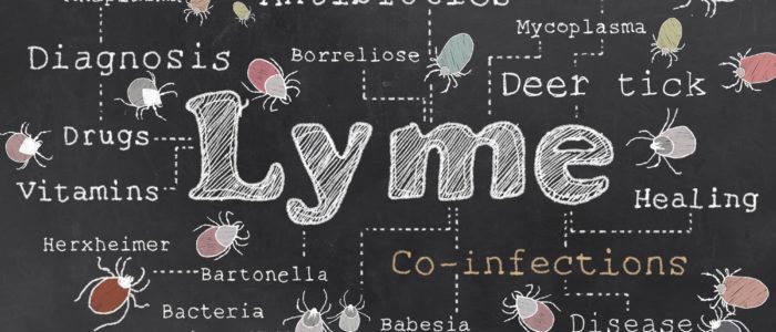 Lyme word cloud