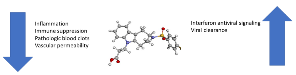 beneficial effects of ramatroban in COVID-19